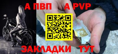 дмт Кингисепп
