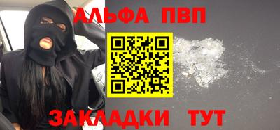 дмт Кингисепп