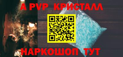дмт Кингисепп